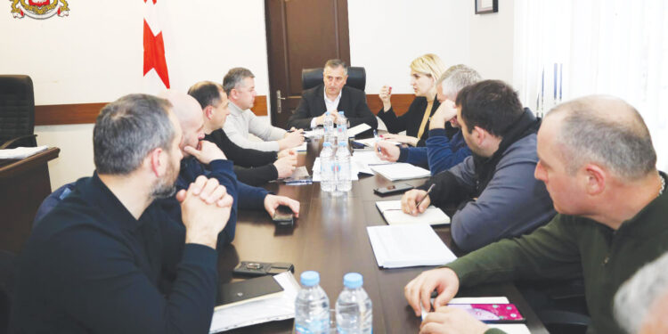 სახელმწიფო რწმუნებული რეგიონის მუნიციპალიტეტების ხელმძღვანელებს შეხვდა