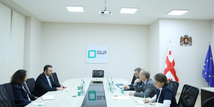 ცესკოში გამართულ შეხვედრაზე გიორგი კალანდარიშვილმა და კრისალანმა 26 ოქტომბრის არჩევნები განიხილეს