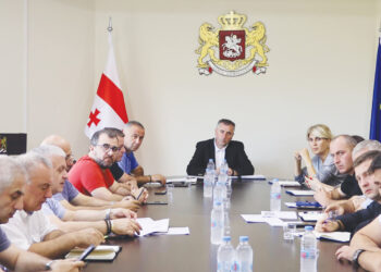 პა­პუ­ნა მარ­გვე­ლი­ძე:­ „კო­ორ­დი­ნი­რე­ბუ­ლი და აქ­ტი­უ­რი მუ­შა­ო­ბით ტუ­რიზ­მის სფე­რო­ში არ­სე­ბუ­ლი გა­მოწ­ვე­ვე­ბი დაძ­ლე­ვა­დი­ა“