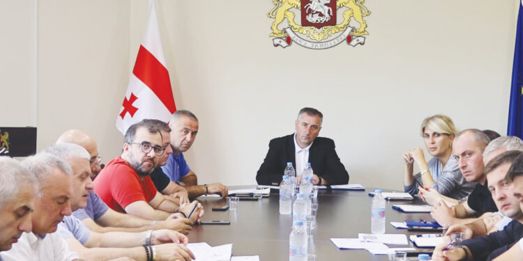 პაპუნა მარგველიძე: „კოორდინირებული და აქტიური მუშაობით ტურიზმის სფეროში არსებული გამოწვევები დაძლევადია“