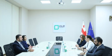 ცესკოს თავმჯდომარე საარჩევნო სისტემების საერთაშორისო ფონდის (IFES) წარმომადგენლებს შეხვდა