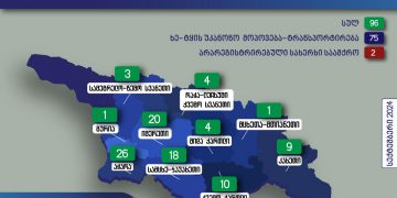 გარემოსდაცვითი ზედამხედველობის დეპარტამენტის თანამშრომლებმა სექტემბერში უკანონო ტყითსარგებლობის  96 ფაქტი გამოავლინეს