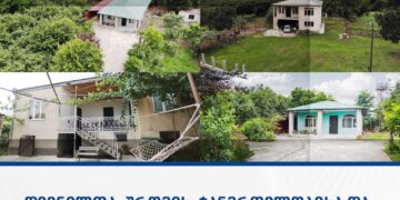 დევნილთა, შრომის, ჯანმრთელობისა და სოციალური დაცვის სამინისტრო იძულებით გადაადგილებულ 603 ოჯახს სოფლად სახლს შეუსყიდის