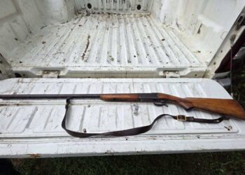 გარემოსდაცვითი ზედამხედველობის დეპარტამენტმა ნადირობის სეზონის გახსნიდან 2 თვეში 629 სამართალდარღვევა გამოავლინა