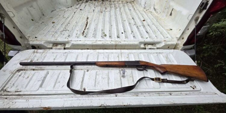 გარემოსდაცვითი ზედამხედველობის დეპარტამენტმა ნადირობის სეზონის გახსნიდან 2 თვეში 629 სამართალდარღვევა გამოავლინა