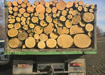 გარემოსდაცვითი ზედამხედველობის დეპარტამენტმა უკანონო ტყითსარგებლობის 16 ფაქტი გამოავლინა